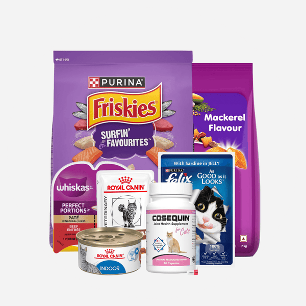 Cat Food