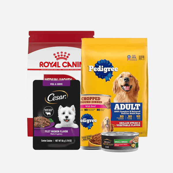 Dog Food
