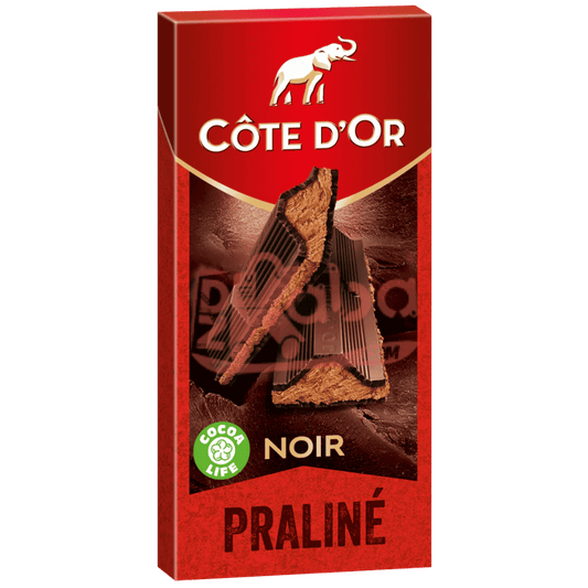Côte d’Or Dark Chocolate Praliné 180g