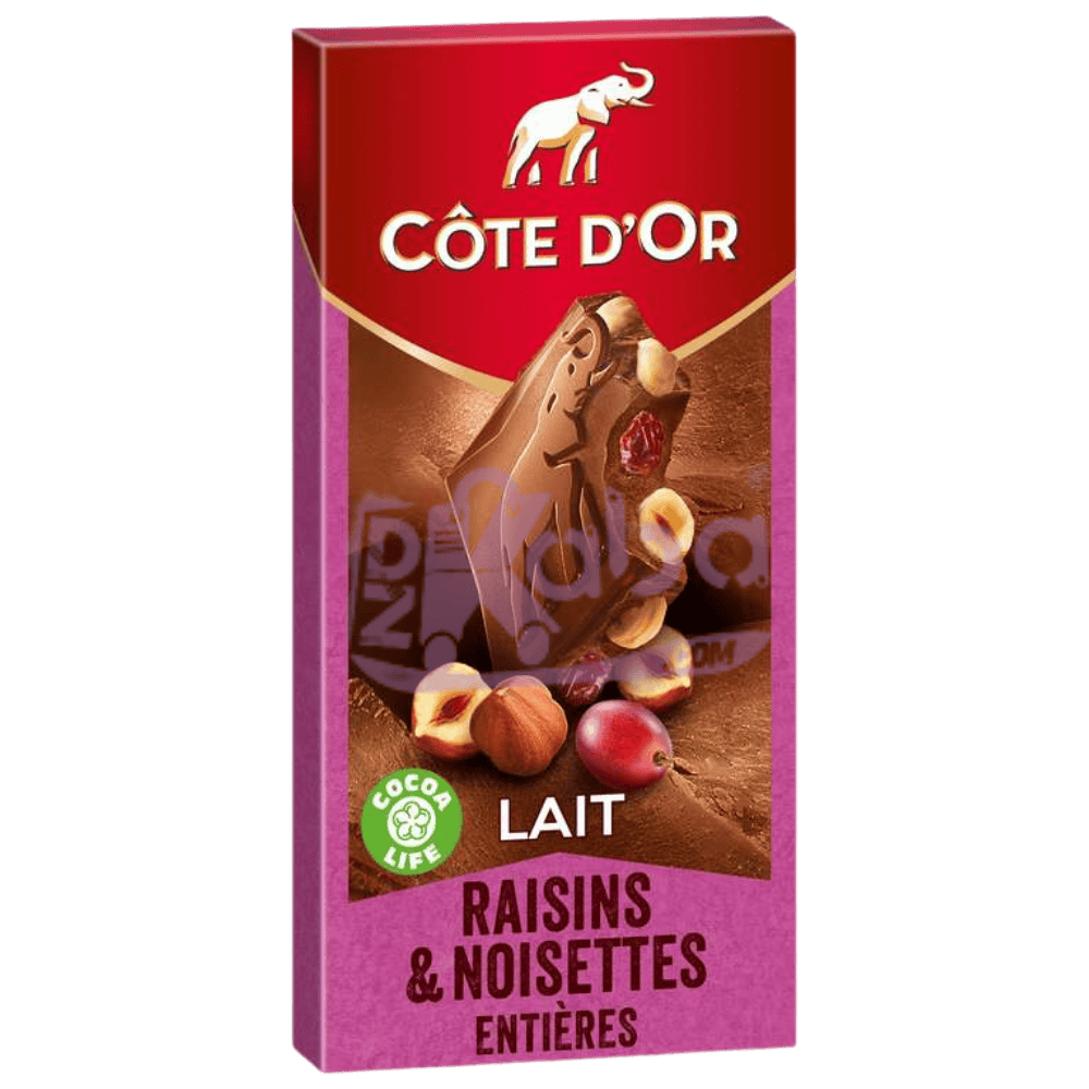 Côte d’Or Milk Chocolate Raisins & Whole Hazelnuts 180g
